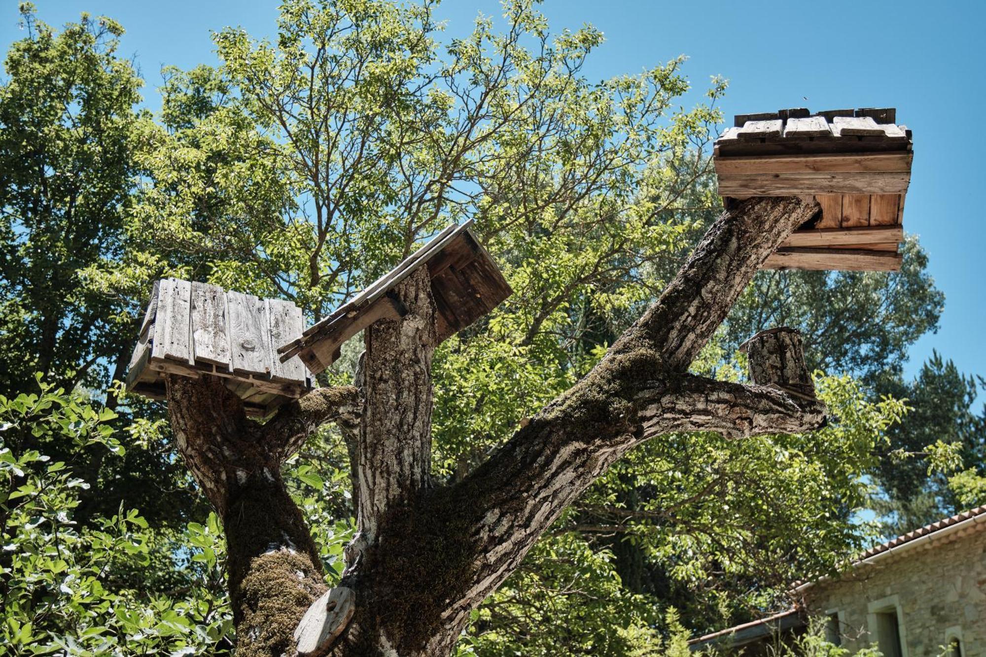 Les Maisons De Chante Oiseau Sigonce Exterior foto